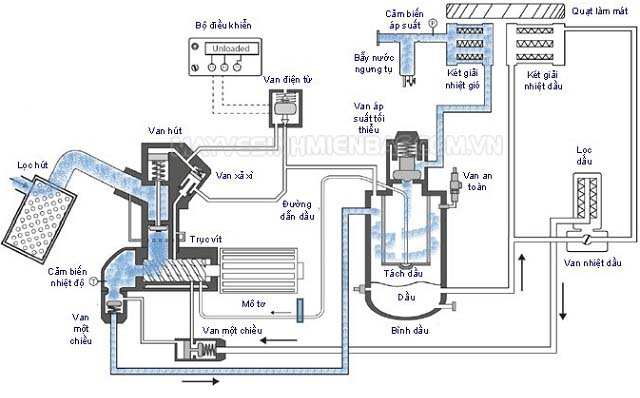 Cấu tạo và nguyên lý hoạt động của máy nén khí trục vít
